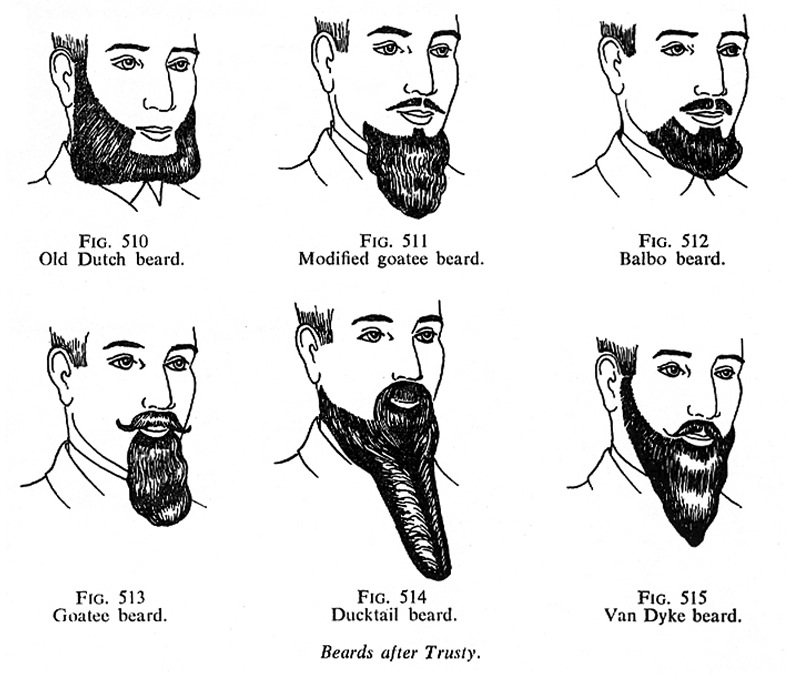 Beard Refrence Would the person who recommended my beards please stand up | Dan Powell