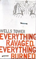 Wells Tower Everything Ravaged