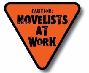 Caution Novelists