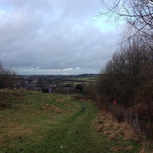 6 View from Walker Street 1