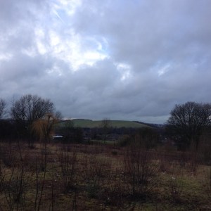 7 View from Walker Street 2